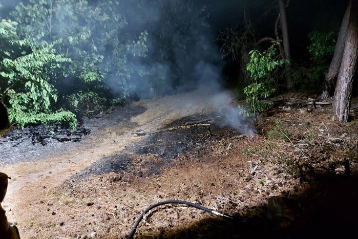 Brandweer blust kleine brand in bos
