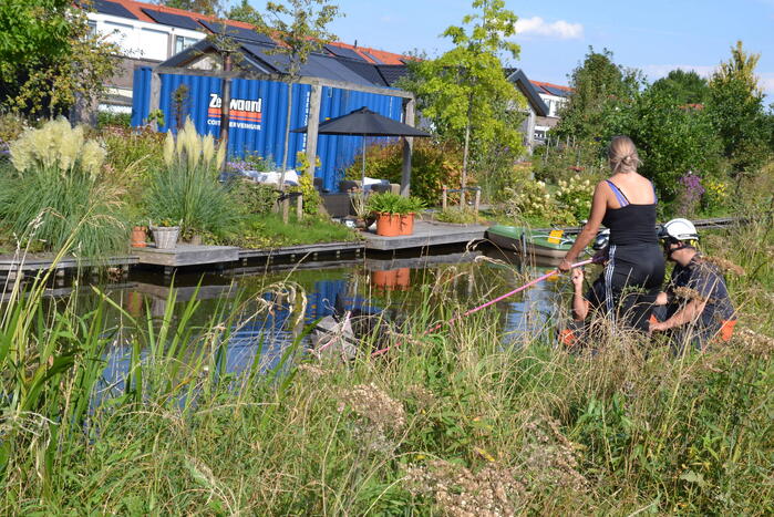 Brandweer redt paard uit water