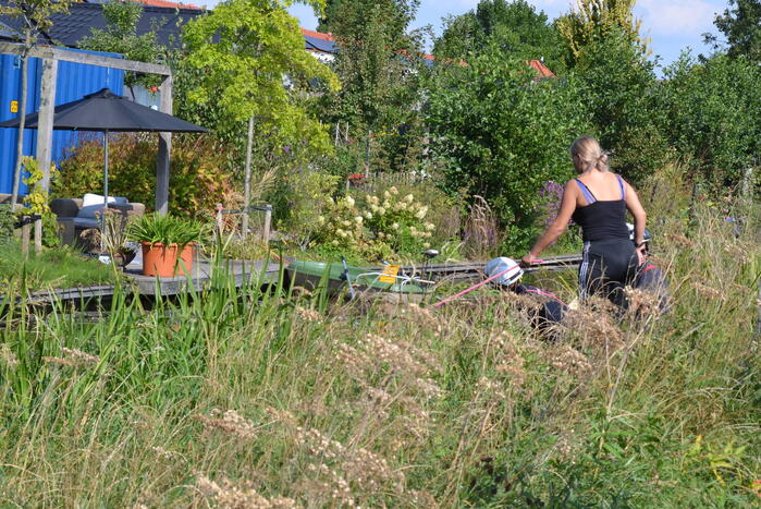 Brandweer redt paard uit water