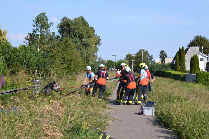Brandweer redt paard uit water
