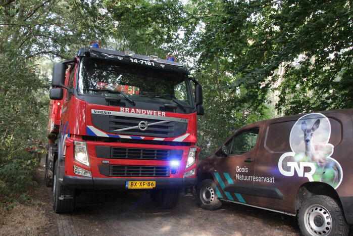 Natuurbrand snel onder controle