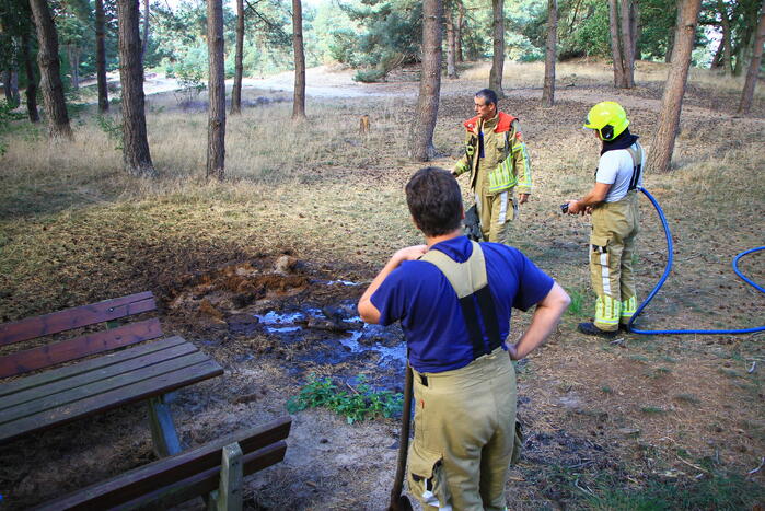 Brandweer ingezet voor stookvuur in bos
