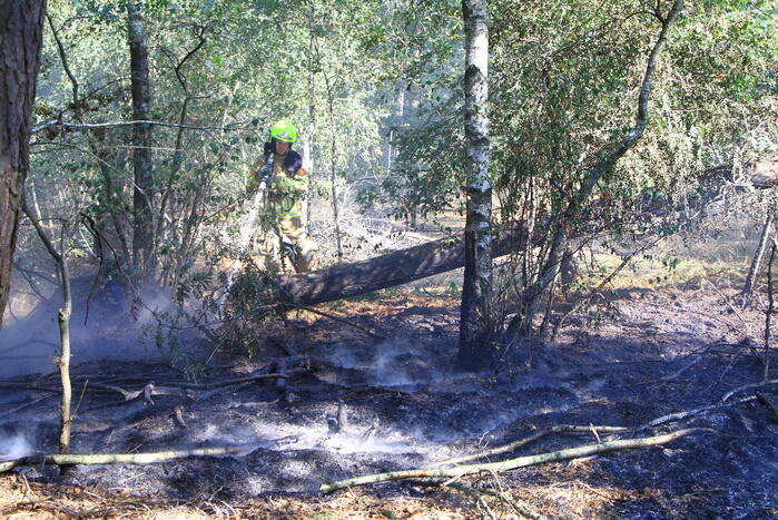 Politiehelikopter ontdekt beginnende bosbrand