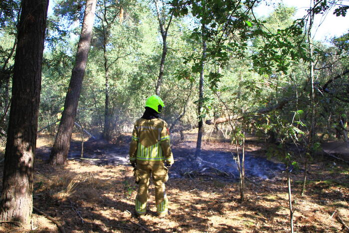 Politiehelikopter ontdekt beginnende bosbrand