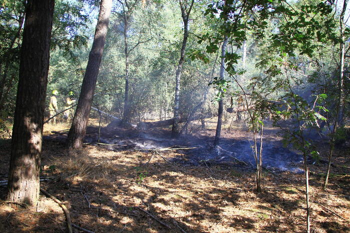 Politiehelikopter ontdekt beginnende bosbrand