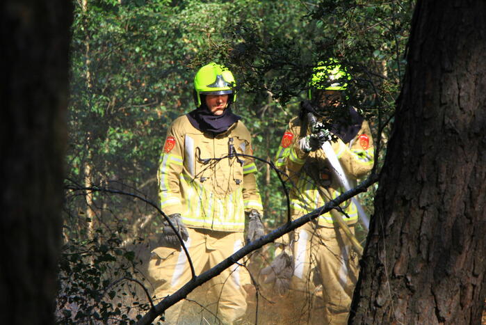 Politiehelikopter ontdekt beginnende bosbrand