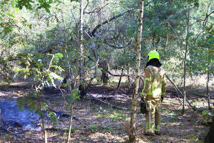 Politiehelikopter ontdekt beginnende bosbrand