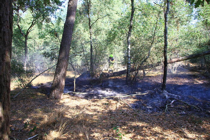 Politiehelikopter ontdekt beginnende bosbrand