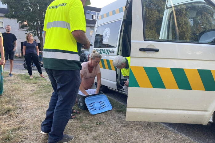 Buurtbewoonster redt kat Charlie uit sloot