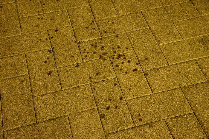 Vier aanhoudingen en gewonde na schietpartij