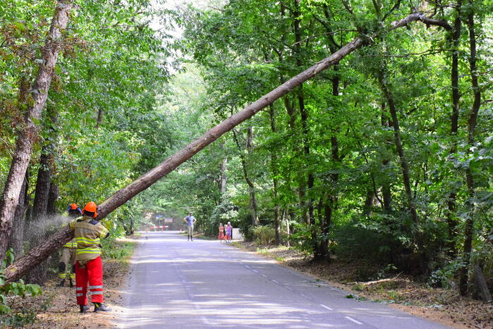Dikkenbergweg 112 meldingen Bennekom 