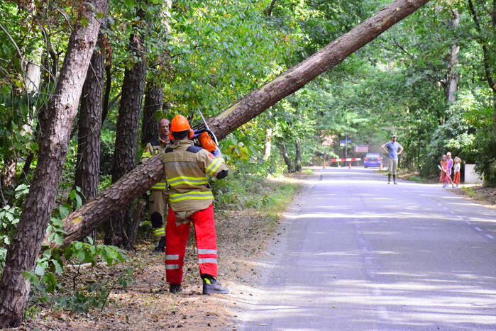 Weg kort afgesloten door omgevallen boom