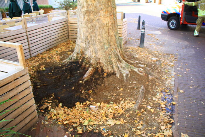 Bladen rondom boom vliegen in brand