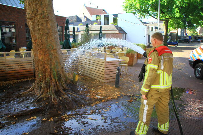 Bladen rondom boom vliegen in brand