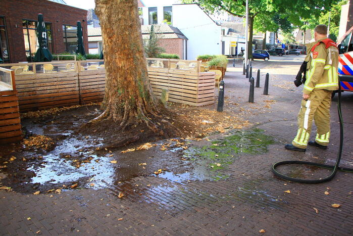 Bladen rondom boom vliegen in brand