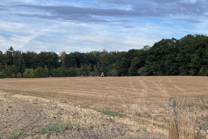 Brandweer ingezet bij kleine brand in bosgebied