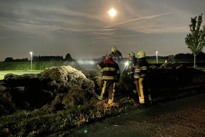 Broei in berg gemaaid gras