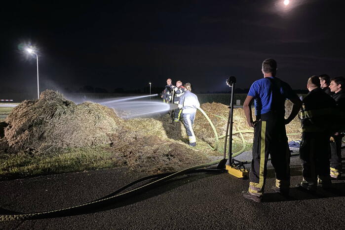 Broei in berg gemaaid gras