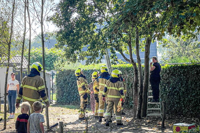 Kinderen vast in boom, brandweer schiet te hulp
