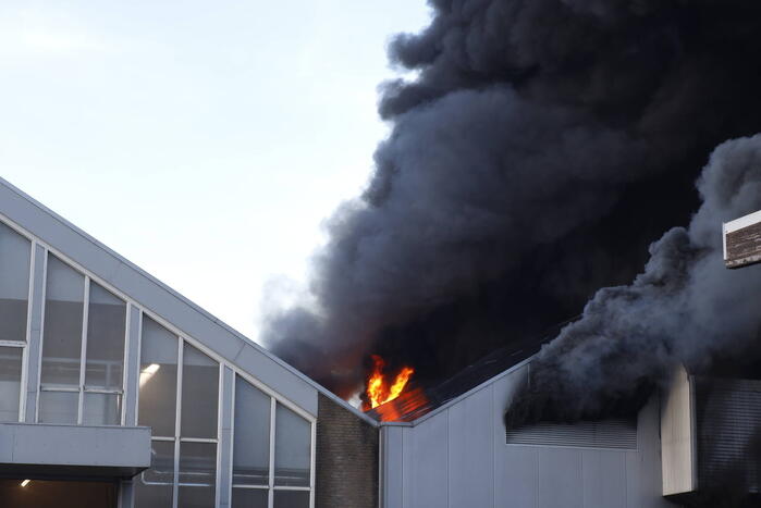 Zeer grote brand in bollenloods