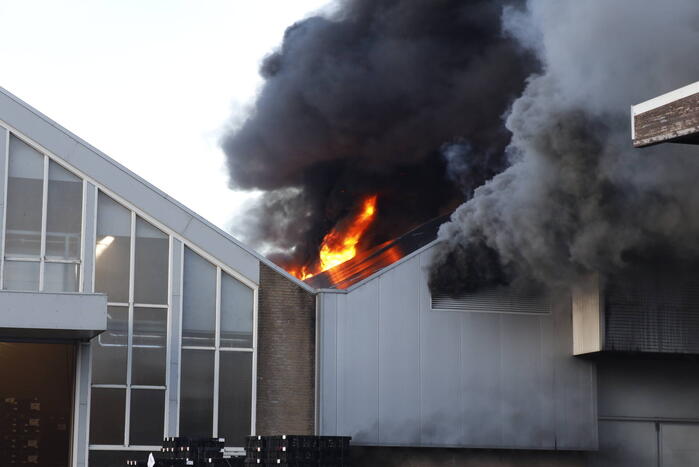 Zeer grote brand in bollenloods