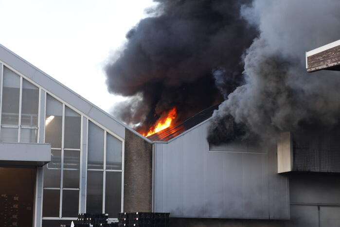 Zeer grote brand in bollenloods