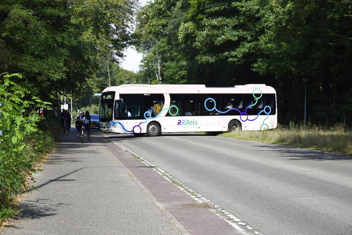 Auto flinke beschadigd door omgevallen boom