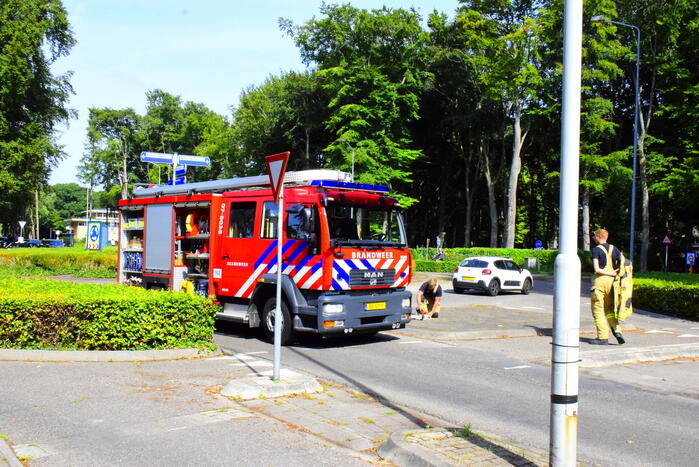 Auto flinke beschadigd door omgevallen boom