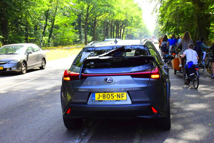 Auto flinke beschadigd door omgevallen boom