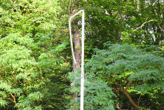 Auto flinke beschadigd door omgevallen boom