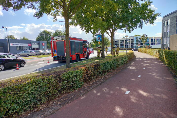 Brandweer verwijdert loshangende tak