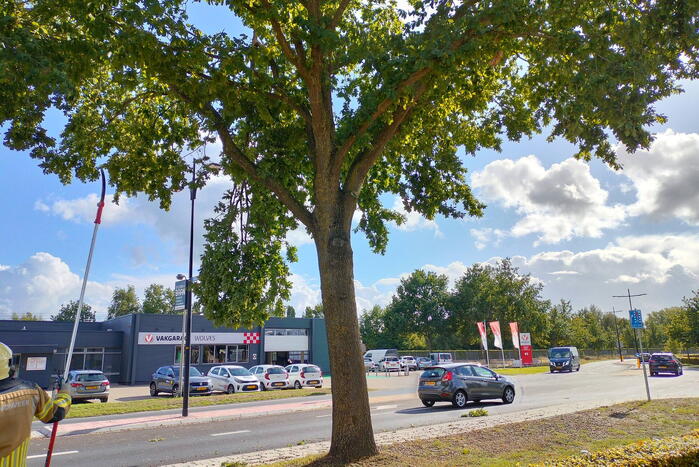 Brandweer verwijdert loshangende tak