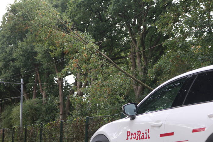 Boom valt op bovenleiding van treinspoor