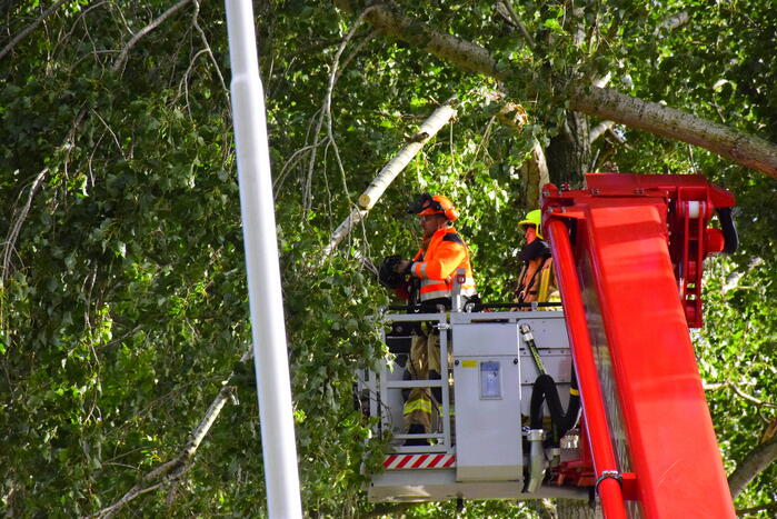 Brandweer ingezet voor loshangende tak