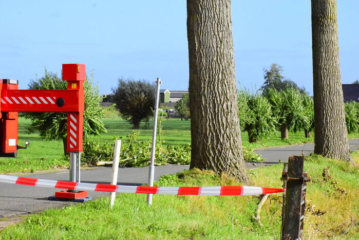 Brandweer ingezet voor loshangende tak