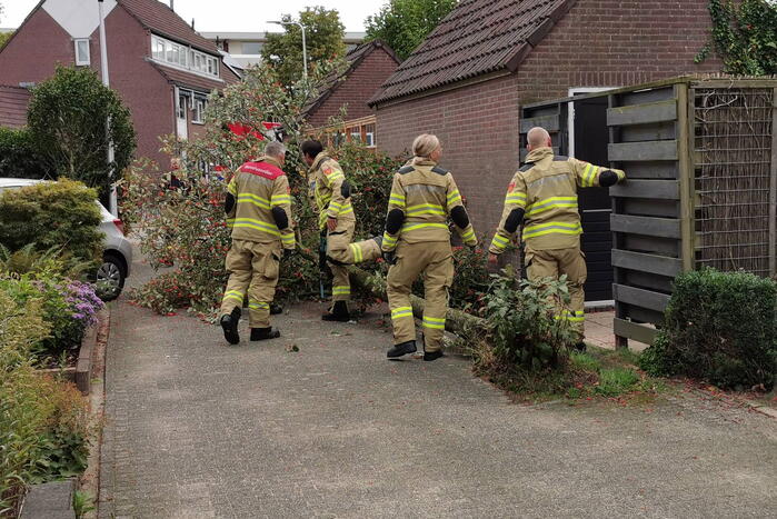 Boom waait tegen schuur