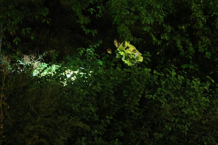 Politie doet onderzoek naar geweldsincident