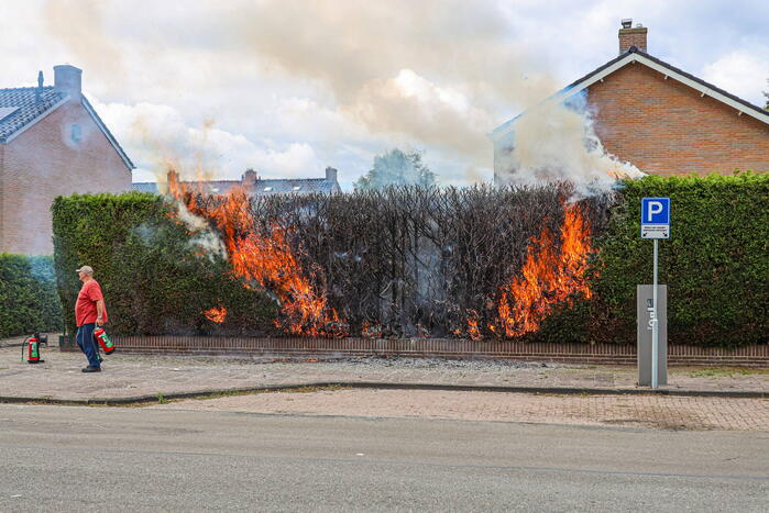 Onkruidbrander zet coniferenhaag in brand