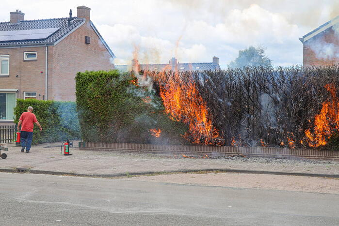 Onkruidbrander zet coniferenhaag in brand