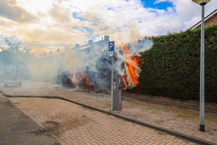 Onkruidbrander zet coniferenhaag in brand