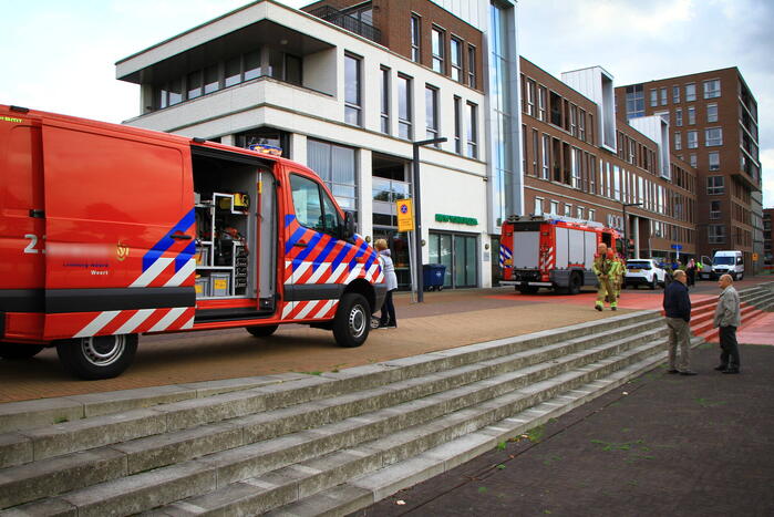 Kat kiest het hazenpad na reddingsactie