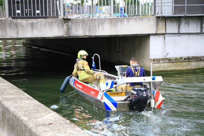 Kat kiest het hazenpad na reddingsactie