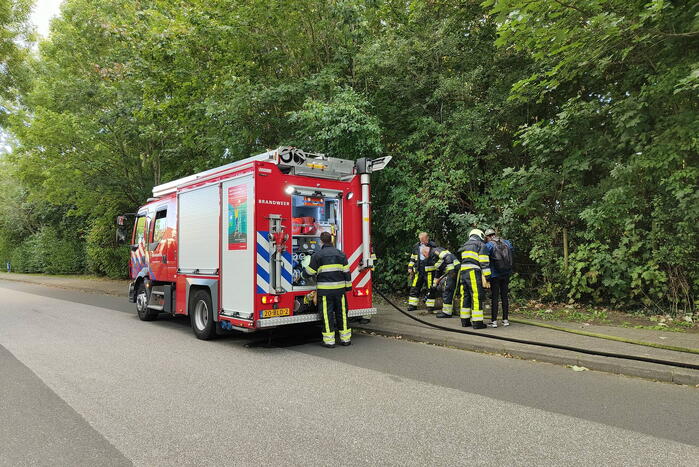 Houten bankje in bosjes afgebrand