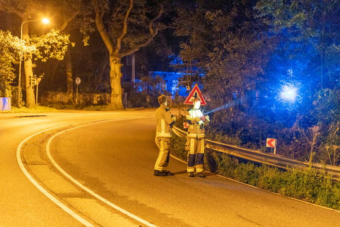 Automobilist richt ravage aan en gaat ervandoor
