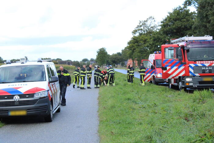 Hulpdiensten ingezet voor koe in de sloot
