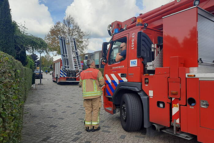 Man vast in boom tijden snoeiwerkzaamheden