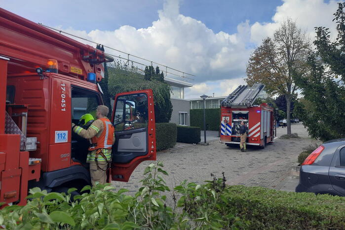 Man vast in boom tijden snoeiwerkzaamheden