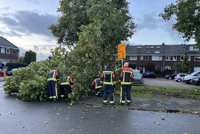 Boom verspert trottoir en straat