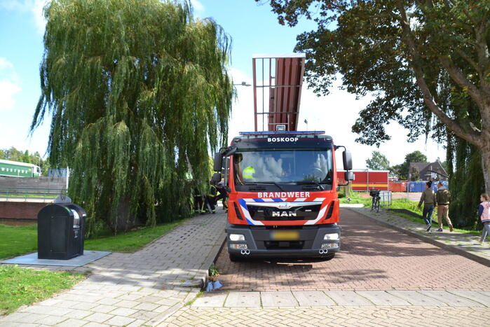Brandweer haalt kat uit een boom