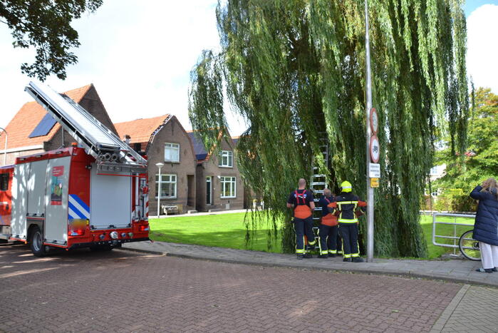 Brandweer haalt kat uit een boom